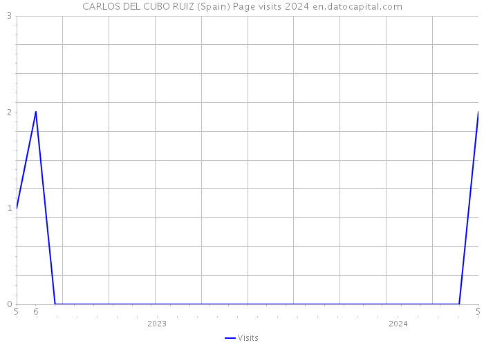 CARLOS DEL CUBO RUIZ (Spain) Page visits 2024 