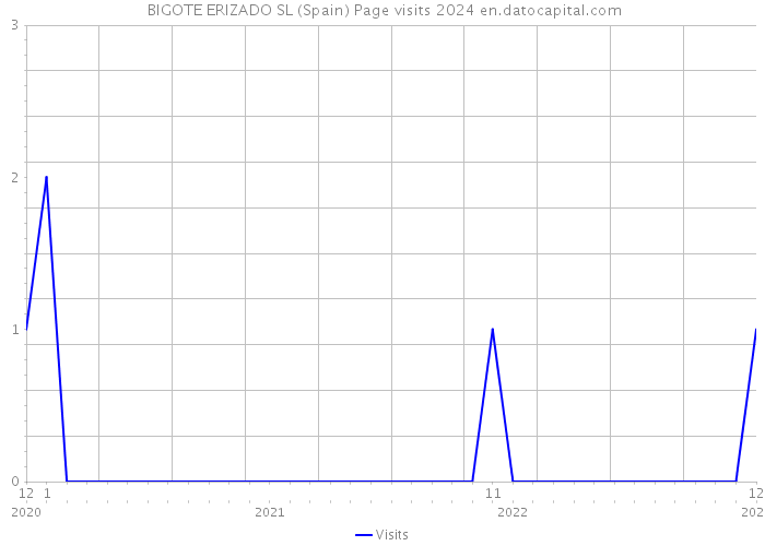  BIGOTE ERIZADO SL (Spain) Page visits 2024 