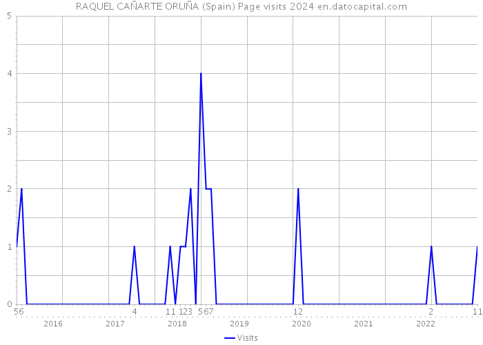 RAQUEL CAÑARTE ORUÑA (Spain) Page visits 2024 
