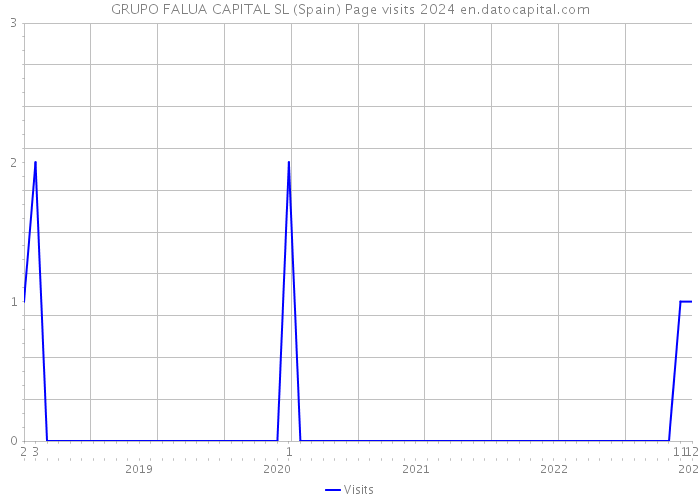 GRUPO FALUA CAPITAL SL (Spain) Page visits 2024 