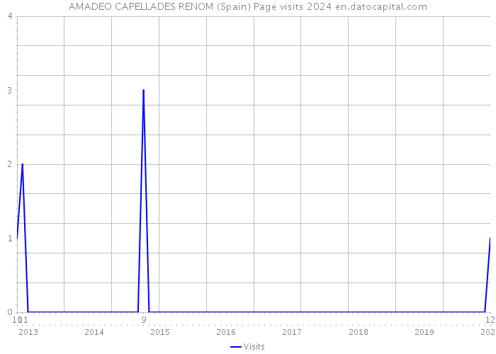 AMADEO CAPELLADES RENOM (Spain) Page visits 2024 