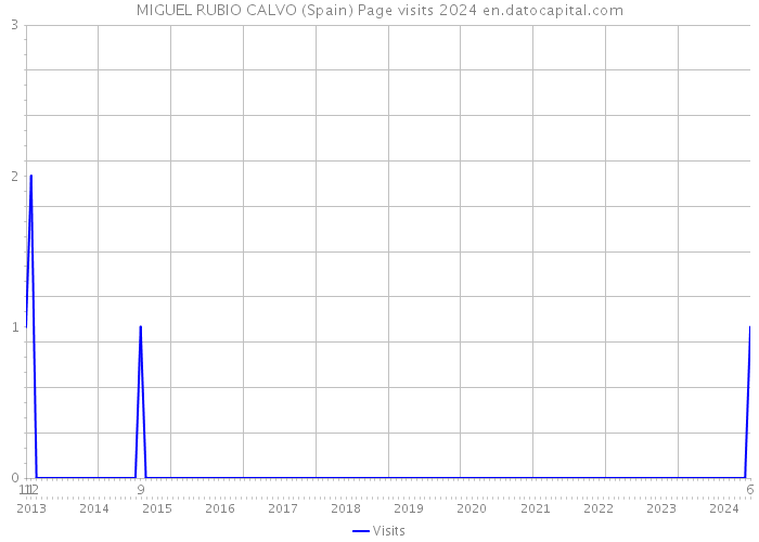 MIGUEL RUBIO CALVO (Spain) Page visits 2024 