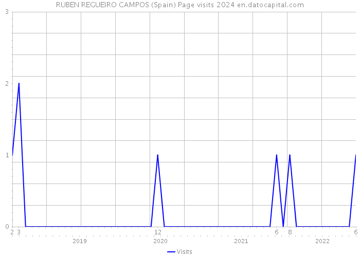 RUBEN REGUEIRO CAMPOS (Spain) Page visits 2024 
