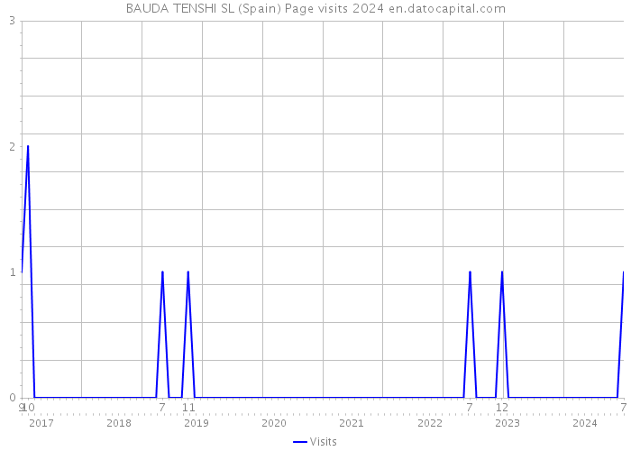 BAUDA TENSHI SL (Spain) Page visits 2024 