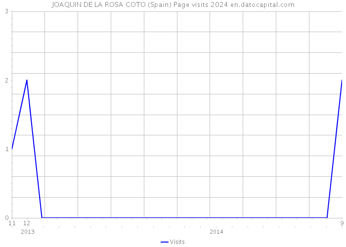 JOAQUIN DE LA ROSA COTO (Spain) Page visits 2024 