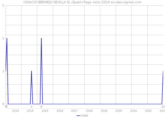 IGNACIO BERMEJO SEVILLA SL (Spain) Page visits 2024 