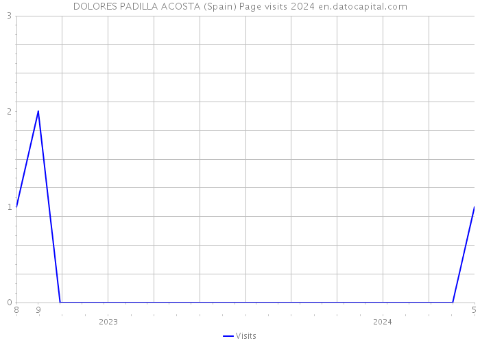DOLORES PADILLA ACOSTA (Spain) Page visits 2024 