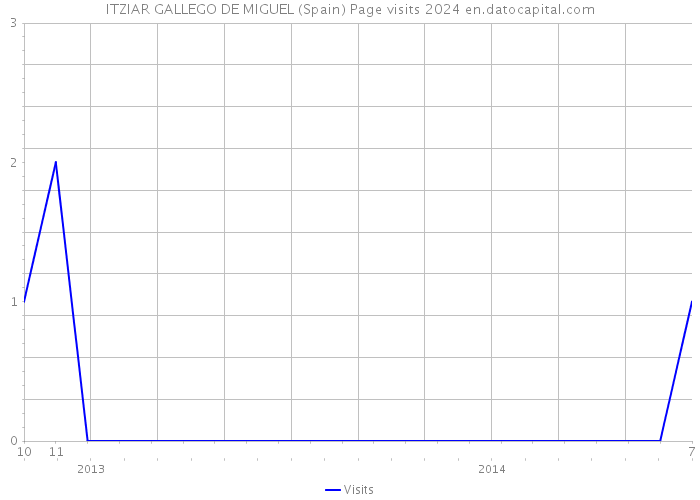 ITZIAR GALLEGO DE MIGUEL (Spain) Page visits 2024 