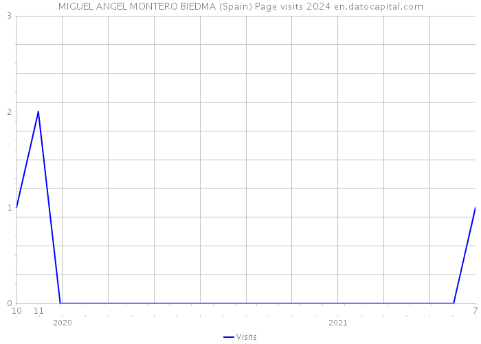 MIGUEL ANGEL MONTERO BIEDMA (Spain) Page visits 2024 