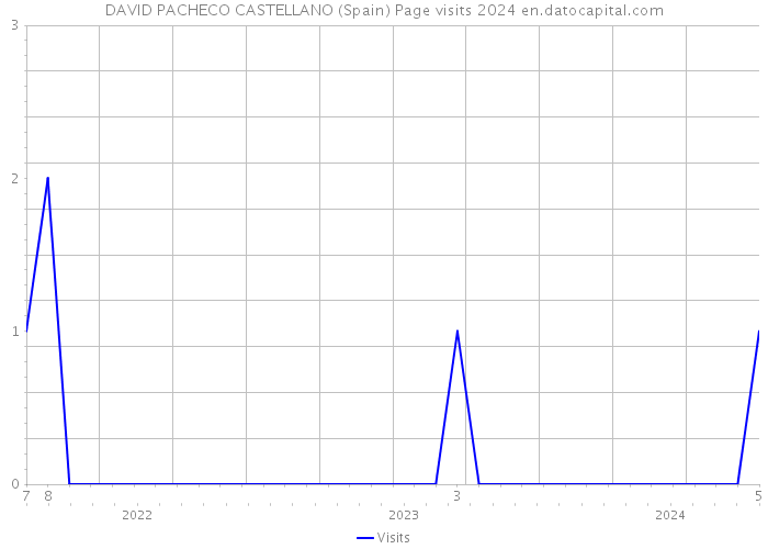 DAVID PACHECO CASTELLANO (Spain) Page visits 2024 