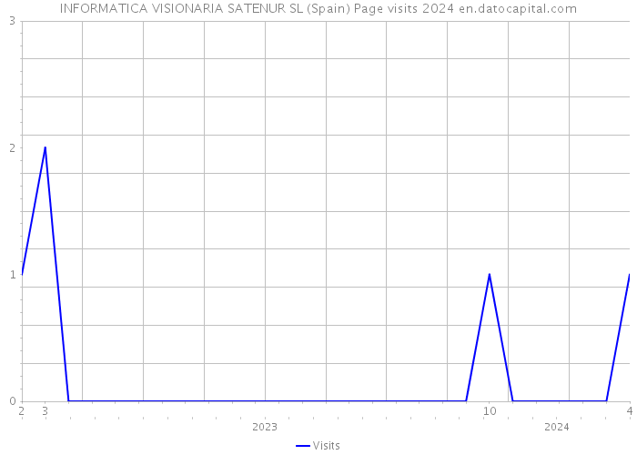 INFORMATICA VISIONARIA SATENUR SL (Spain) Page visits 2024 