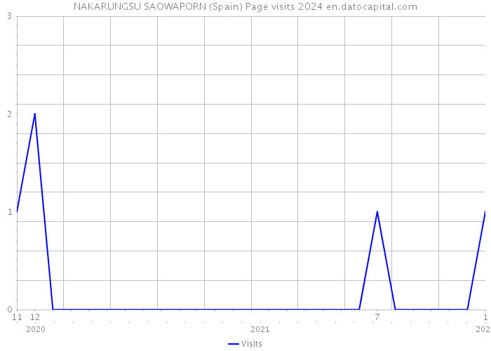NAKARUNGSU SAOWAPORN (Spain) Page visits 2024 