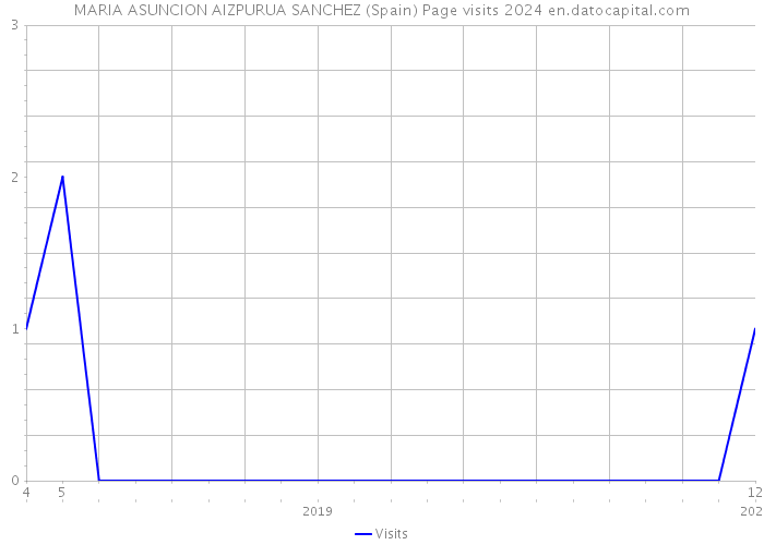 MARIA ASUNCION AIZPURUA SANCHEZ (Spain) Page visits 2024 