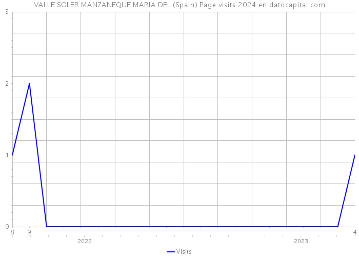 VALLE SOLER MANZANEQUE MARIA DEL (Spain) Page visits 2024 