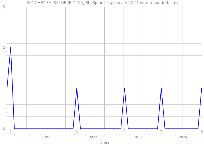 SANCHEZ BALSALOBRE Y CIA, SL (Spain) Page visits 2024 