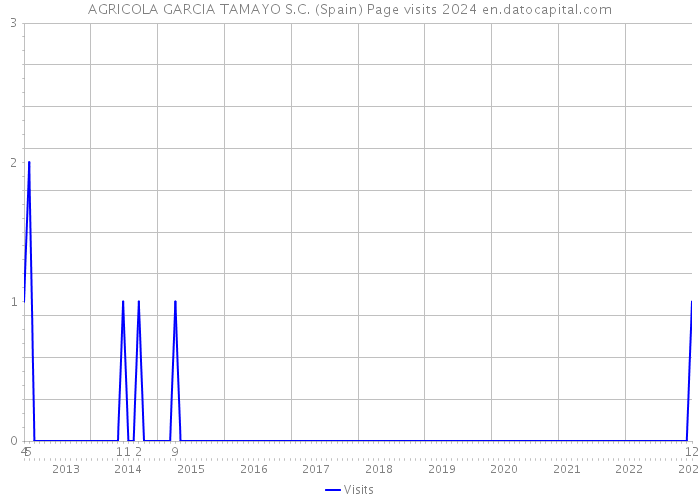 AGRICOLA GARCIA TAMAYO S.C. (Spain) Page visits 2024 