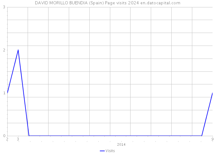 DAVID MORILLO BUENDIA (Spain) Page visits 2024 