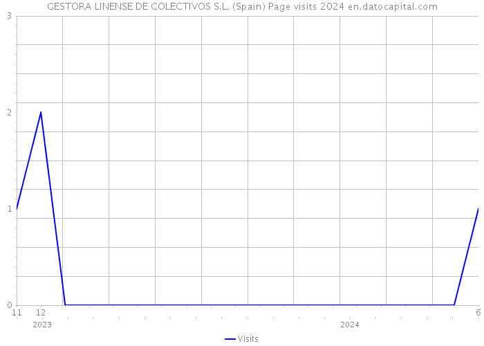 GESTORA LINENSE DE COLECTIVOS S.L. (Spain) Page visits 2024 