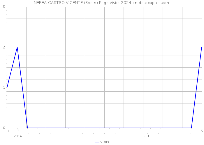 NEREA CASTRO VICENTE (Spain) Page visits 2024 