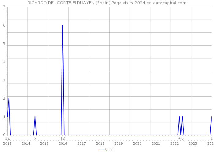 RICARDO DEL CORTE ELDUAYEN (Spain) Page visits 2024 