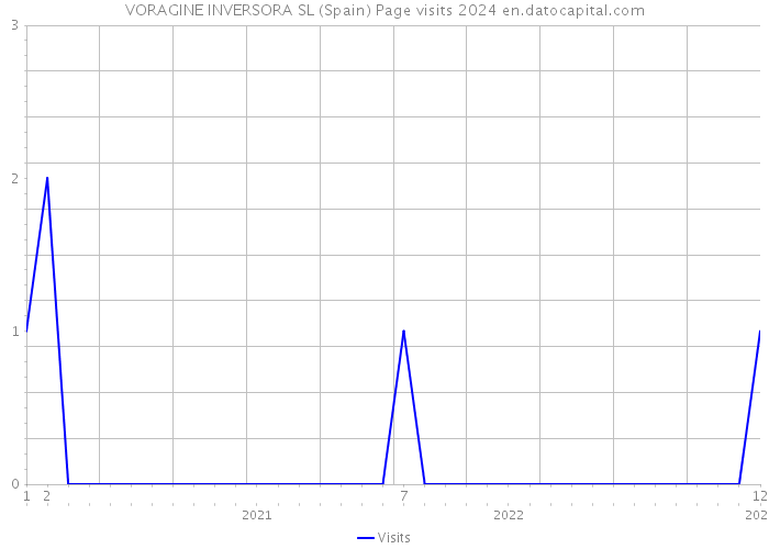VORAGINE INVERSORA SL (Spain) Page visits 2024 