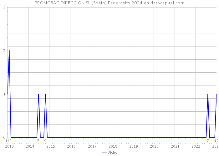PROMOBAG DIRECCION SL (Spain) Page visits 2024 