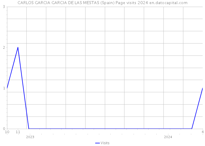 CARLOS GARCIA GARCIA DE LAS MESTAS (Spain) Page visits 2024 