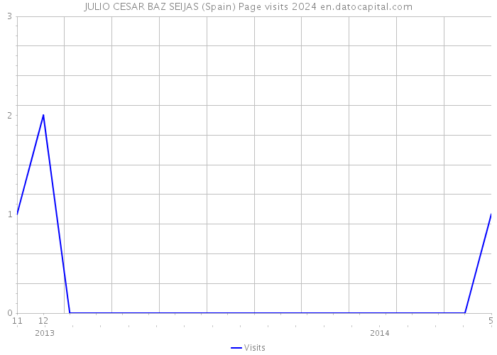 JULIO CESAR BAZ SEIJAS (Spain) Page visits 2024 