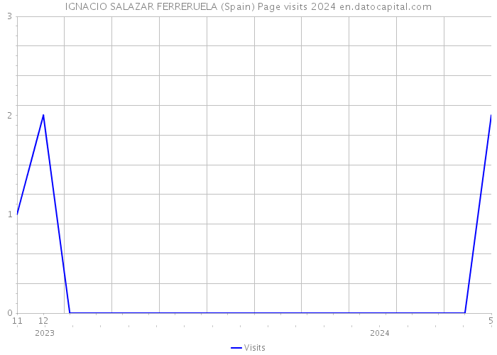 IGNACIO SALAZAR FERRERUELA (Spain) Page visits 2024 