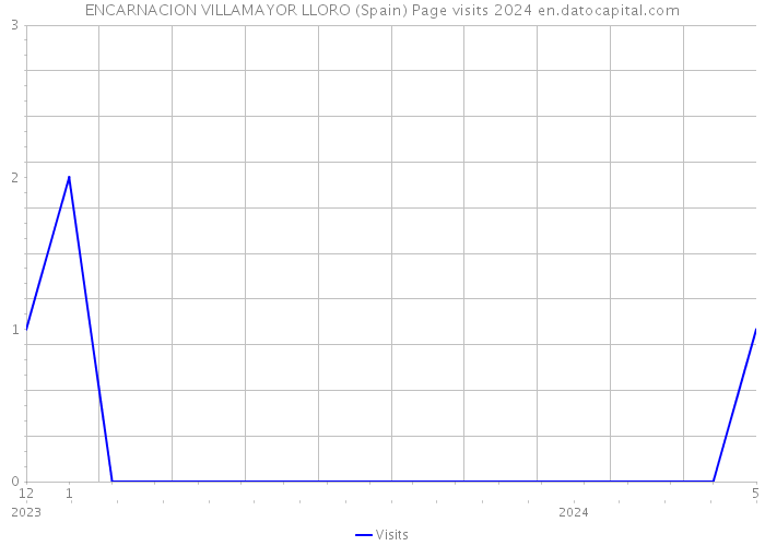 ENCARNACION VILLAMAYOR LLORO (Spain) Page visits 2024 