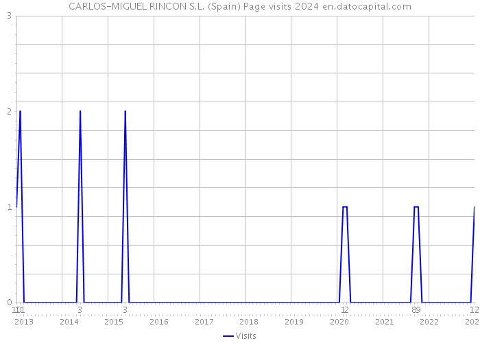 CARLOS-MIGUEL RINCON S.L. (Spain) Page visits 2024 