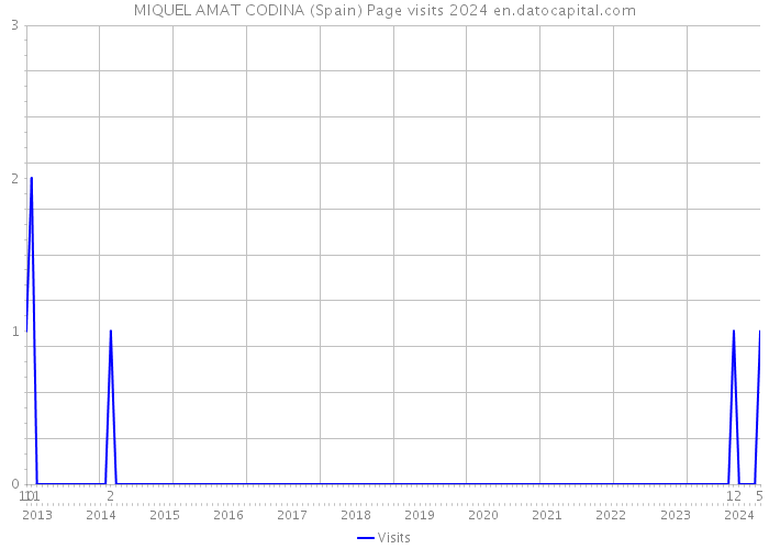 MIQUEL AMAT CODINA (Spain) Page visits 2024 