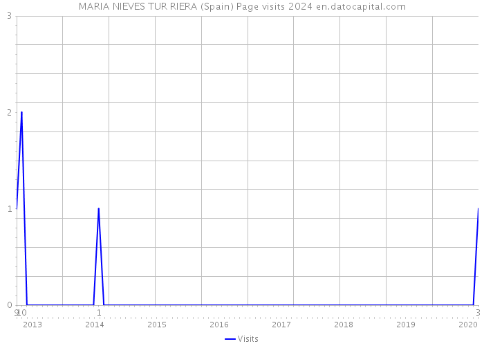 MARIA NIEVES TUR RIERA (Spain) Page visits 2024 