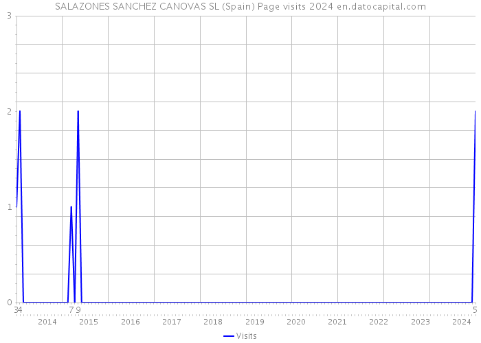 SALAZONES SANCHEZ CANOVAS SL (Spain) Page visits 2024 