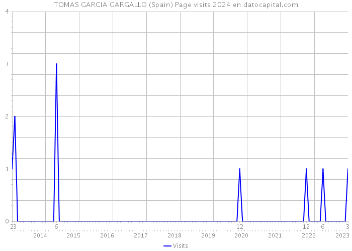 TOMAS GARCIA GARGALLO (Spain) Page visits 2024 