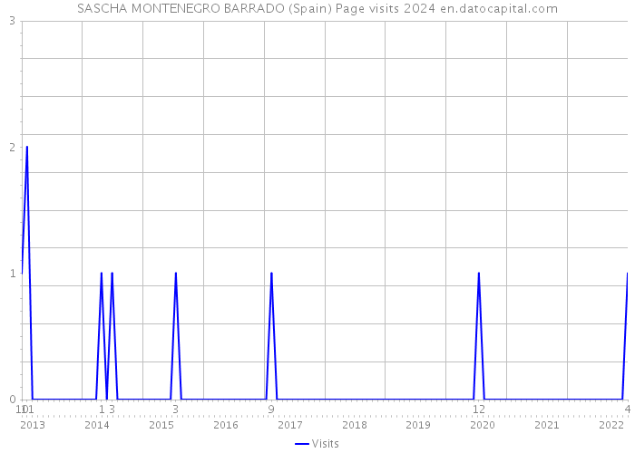 SASCHA MONTENEGRO BARRADO (Spain) Page visits 2024 