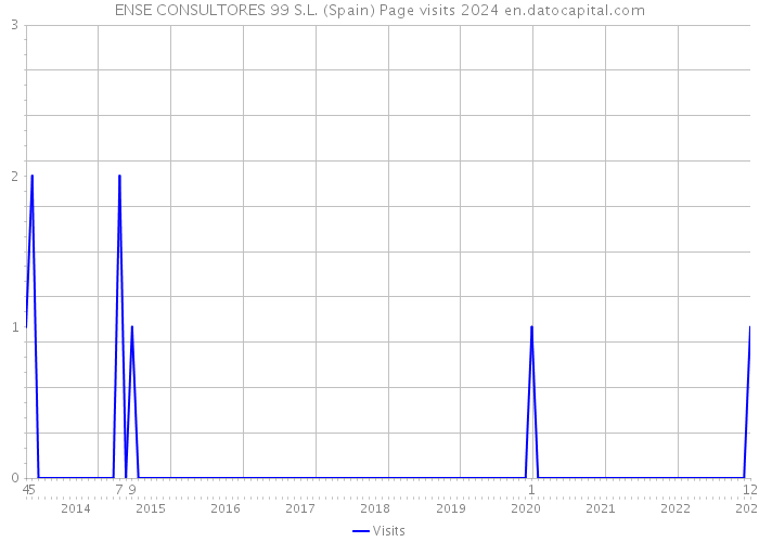 ENSE CONSULTORES 99 S.L. (Spain) Page visits 2024 