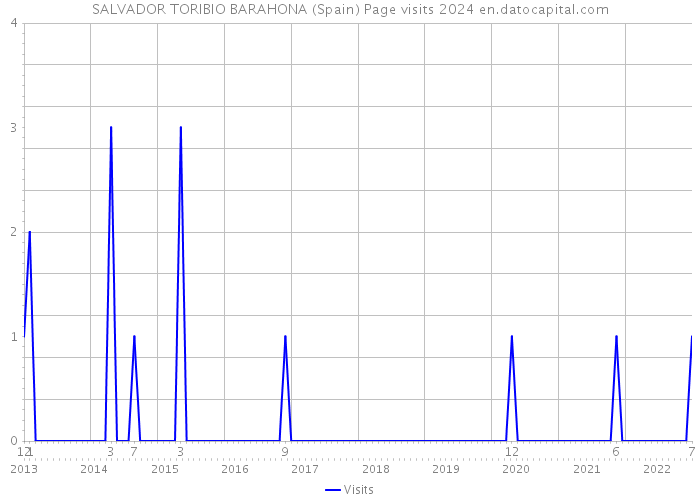 SALVADOR TORIBIO BARAHONA (Spain) Page visits 2024 