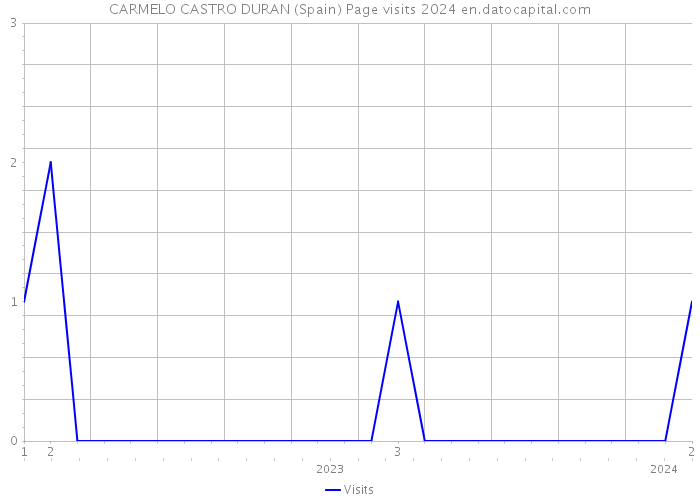 CARMELO CASTRO DURAN (Spain) Page visits 2024 