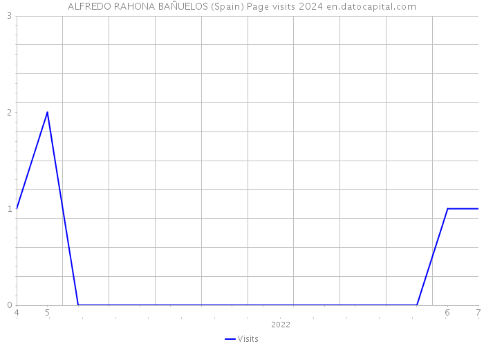 ALFREDO RAHONA BAÑUELOS (Spain) Page visits 2024 