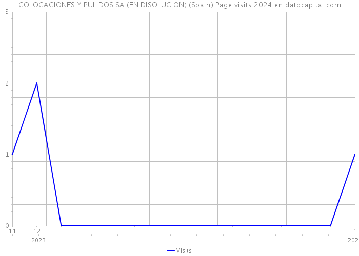 COLOCACIONES Y PULIDOS SA (EN DISOLUCION) (Spain) Page visits 2024 