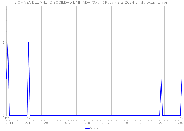 BIOMASA DEL ANETO SOCIEDAD LIMITADA (Spain) Page visits 2024 