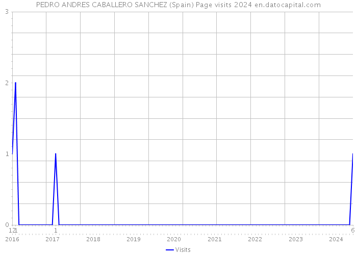 PEDRO ANDRES CABALLERO SANCHEZ (Spain) Page visits 2024 