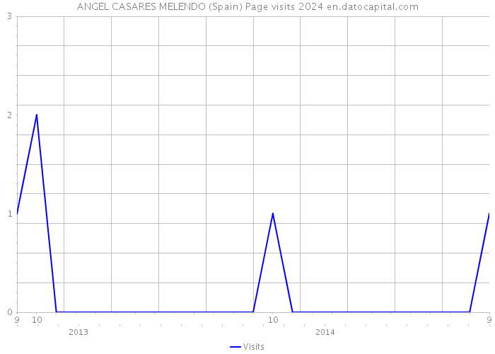 ANGEL CASARES MELENDO (Spain) Page visits 2024 