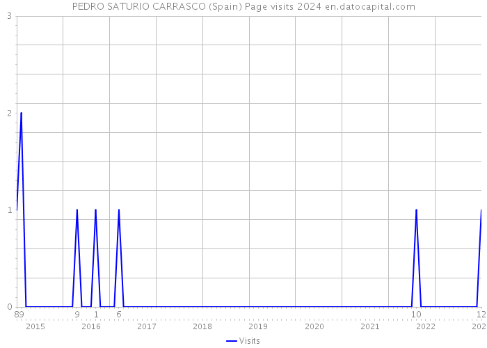 PEDRO SATURIO CARRASCO (Spain) Page visits 2024 