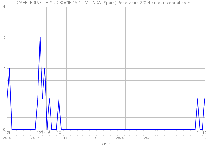 CAFETERIAS TELSUD SOCIEDAD LIMITADA (Spain) Page visits 2024 