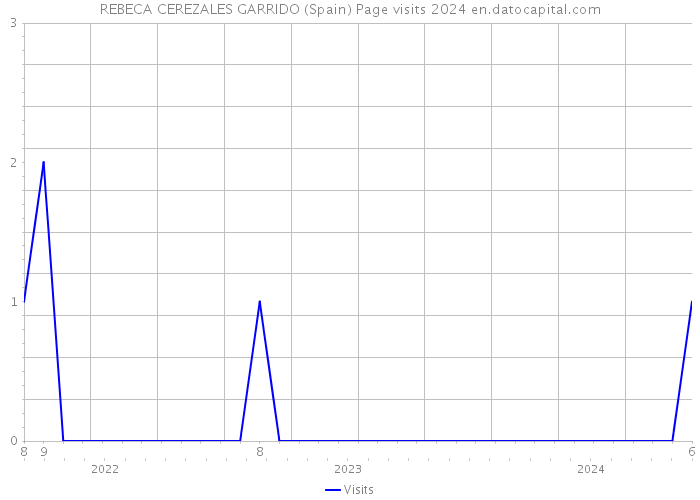 REBECA CEREZALES GARRIDO (Spain) Page visits 2024 