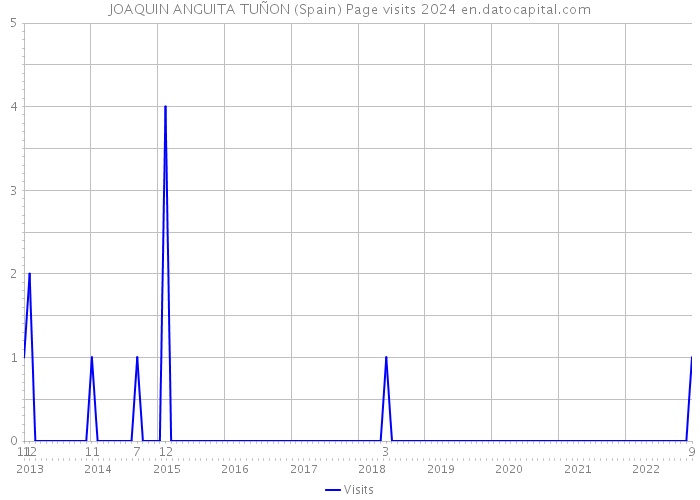 JOAQUIN ANGUITA TUÑON (Spain) Page visits 2024 