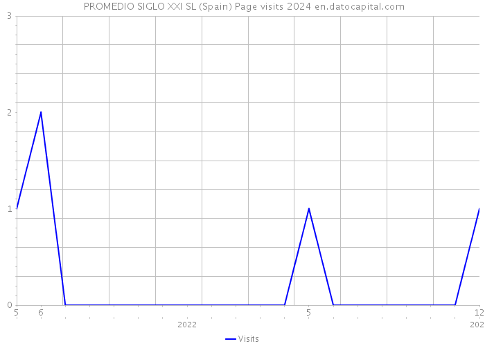  PROMEDIO SIGLO XXI SL (Spain) Page visits 2024 