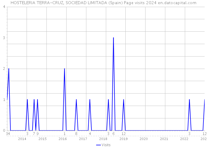 HOSTELERIA TERRA-CRUZ, SOCIEDAD LIMITADA (Spain) Page visits 2024 